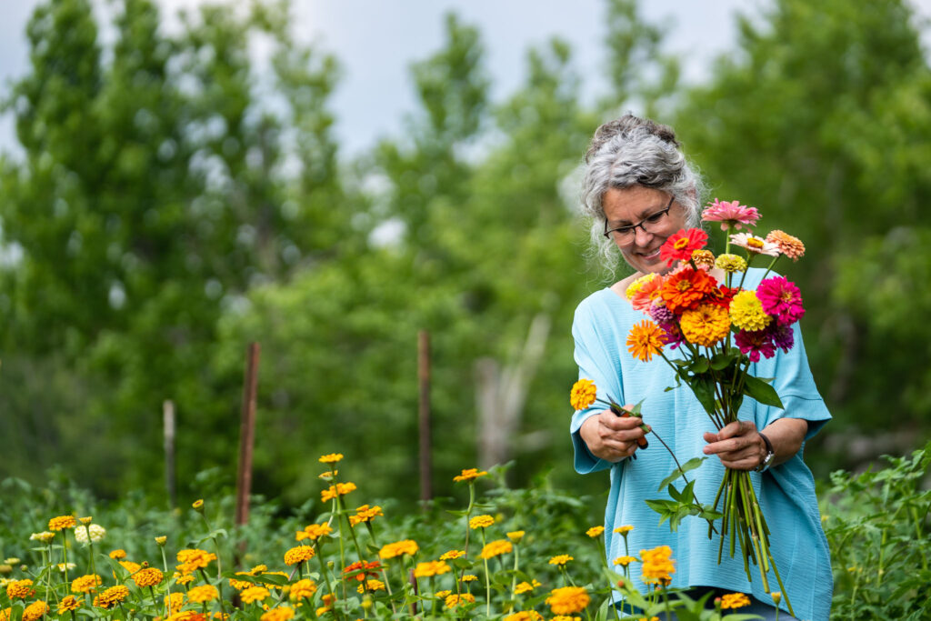 Rhonda Rudder Picking Zinnia cut flowers